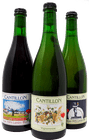 Cantillon Bundle - VGK logo